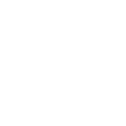 Lotus Dev Logo